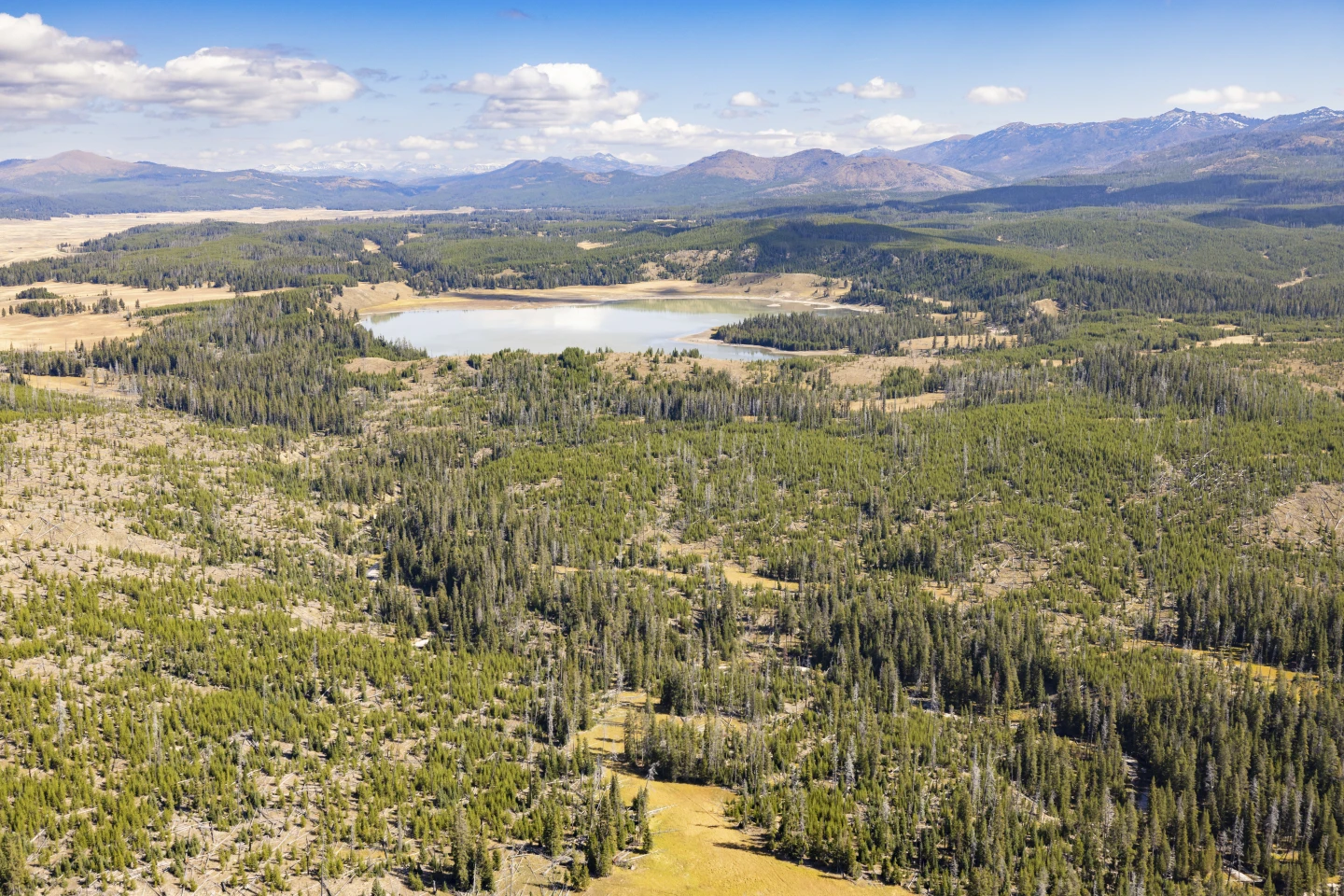 Former Park Superintendents Urge Closure of National Parks Amid Potential Shutdown