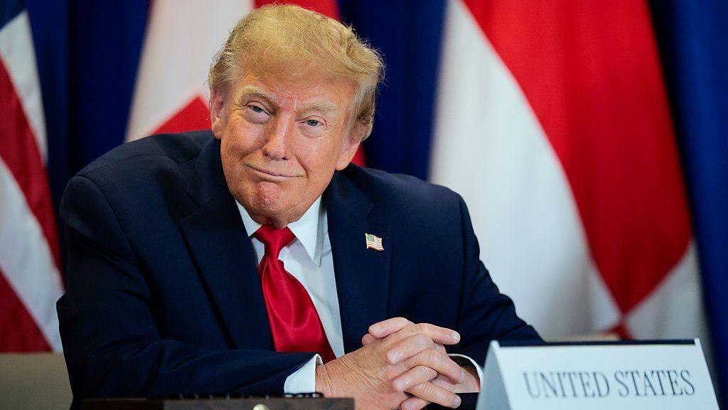 Trump’s AI Rebrand Sparks Surge in Slovenian Domain Registrations