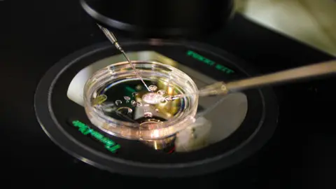 Revolutionary Scientific Breakthrough: Embryos Created from Human Skin DNA