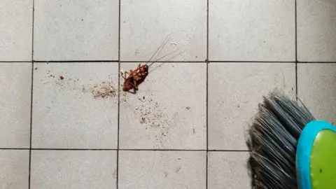 Fire Erupts in South Korea as Woman Attempts to Kill Cockroach with Homemade Flamethrower