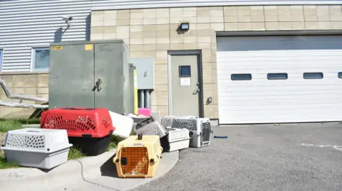 FBI Drug Burn Hospitalizes Animal Shelter Staff in Montana