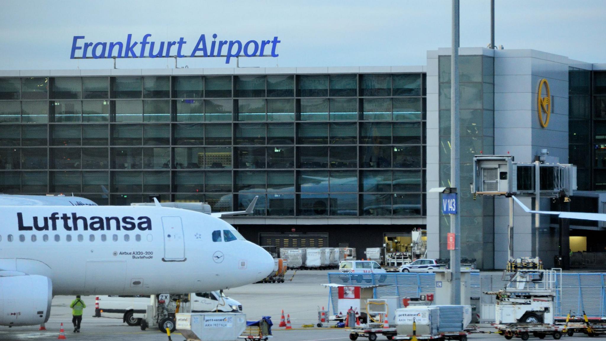 Fatal malaria case at Frankfurt Airport after mosquitoes arrive on plane