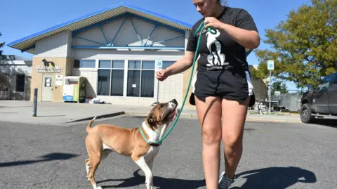 FBI Incineration Leads to Hospitalization of Animal Shelter Workers in Montana