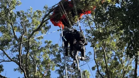 Skydiving Instructor Dies in Tragic Fall Without Parachute in Nashville