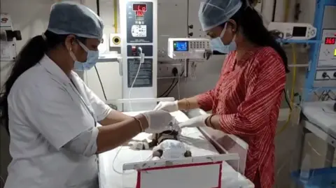 Miraculous Rescue: 20-Day-Old Girl Found Buried in India