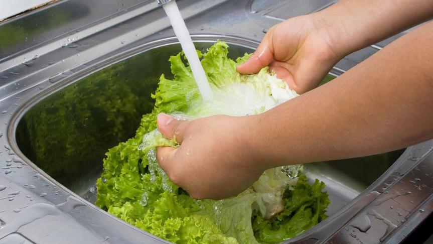 First Deaths Reported in US Cyclospora Outbreak Linked to Contaminated Lettuce