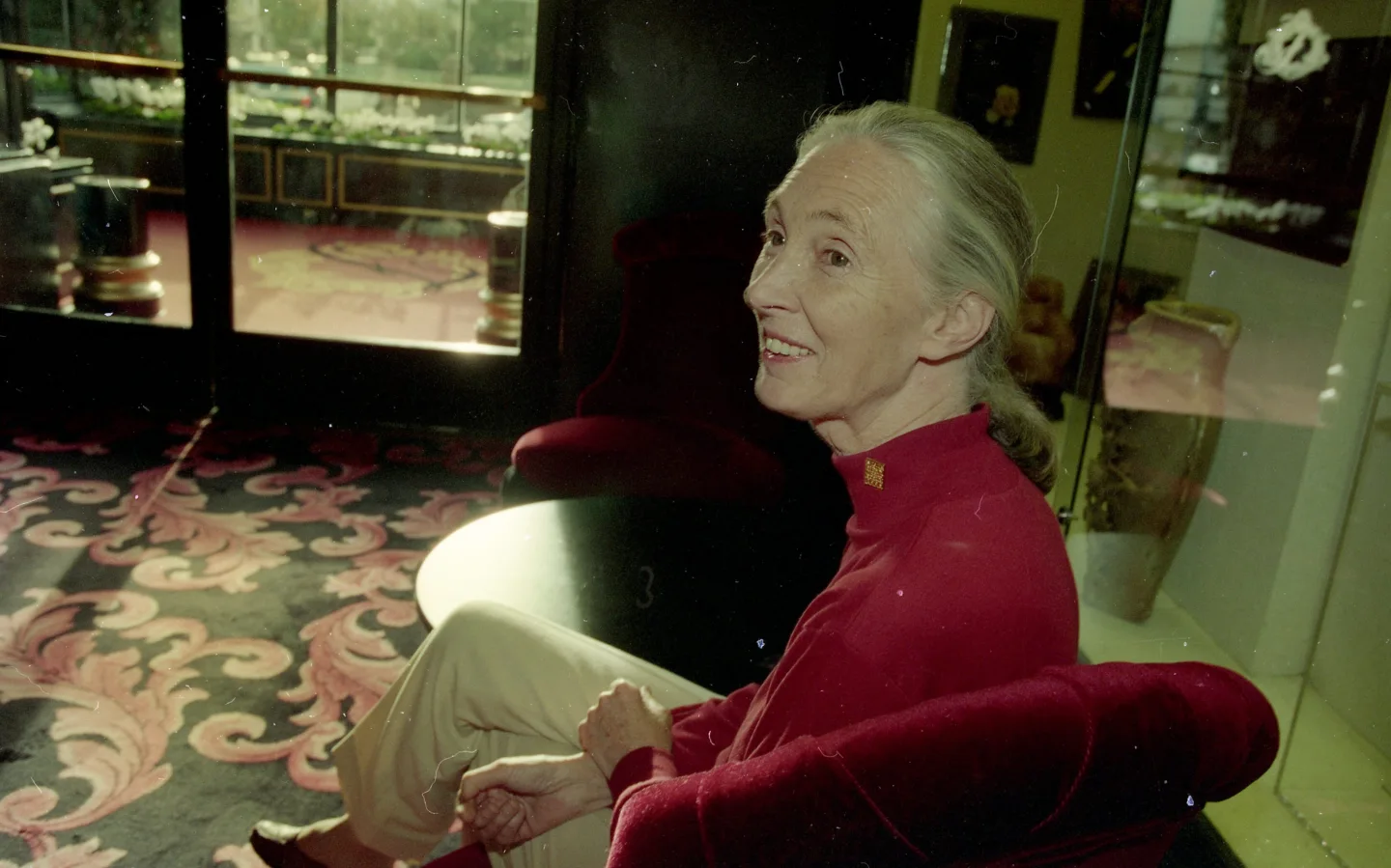 Remembering Jane Goodall: A Legacy of Compassion for Wildlife