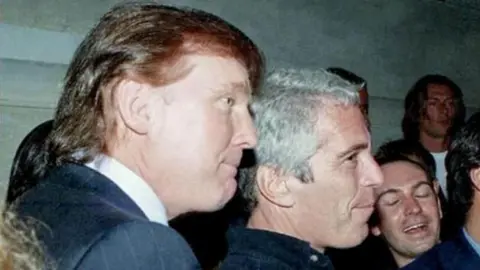 Disillusioned Trump Voter's Quest for Truth in Epstein Files