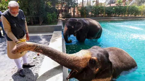 Investigation Clears Ambani's Private Zoo of Wrongdoing
