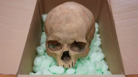 A Long-Awaited Return: Tourist Returns Cathedral Skull After 60 Years