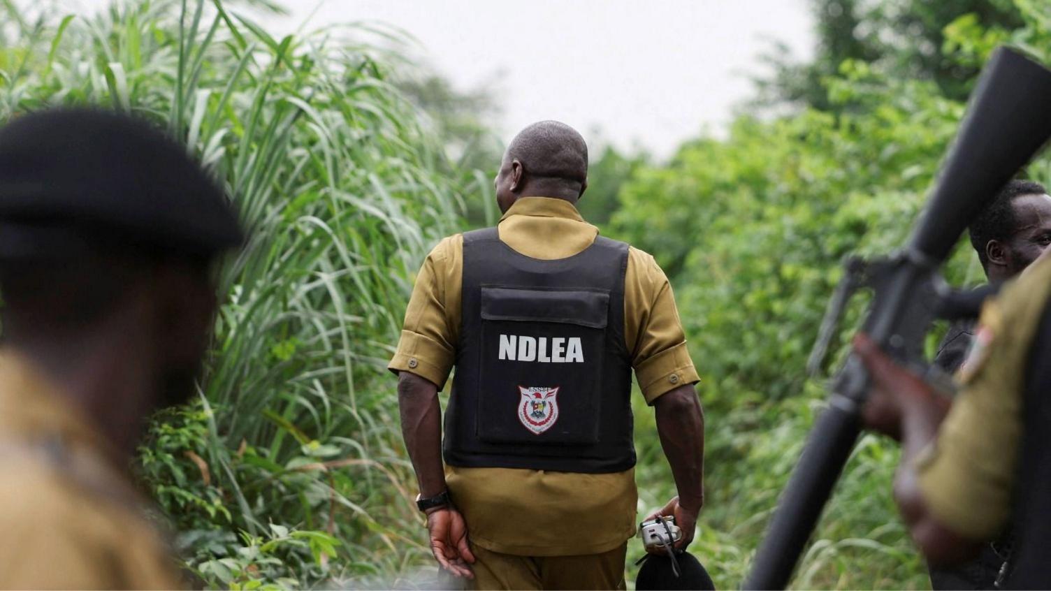 Mexico’s Meth Cartels Hijack Nigeria’s Hidden Labs
