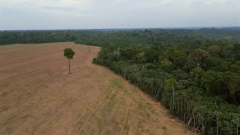 High Stakes for Brazil's Amazon: Ban on Deforestation Faces Unprecedented Threat