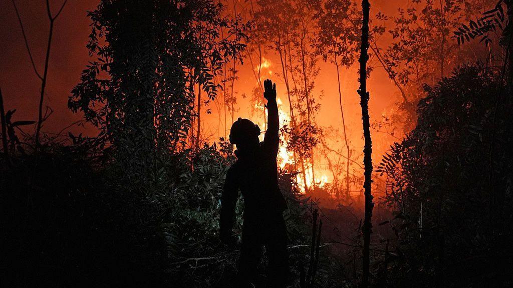 Wildfire in Kalimantan, Indonesia
