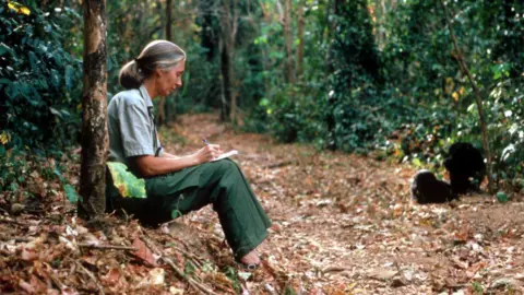 The Legacy of Dame Jane Goodall: A Tribute to the Conservation Icon