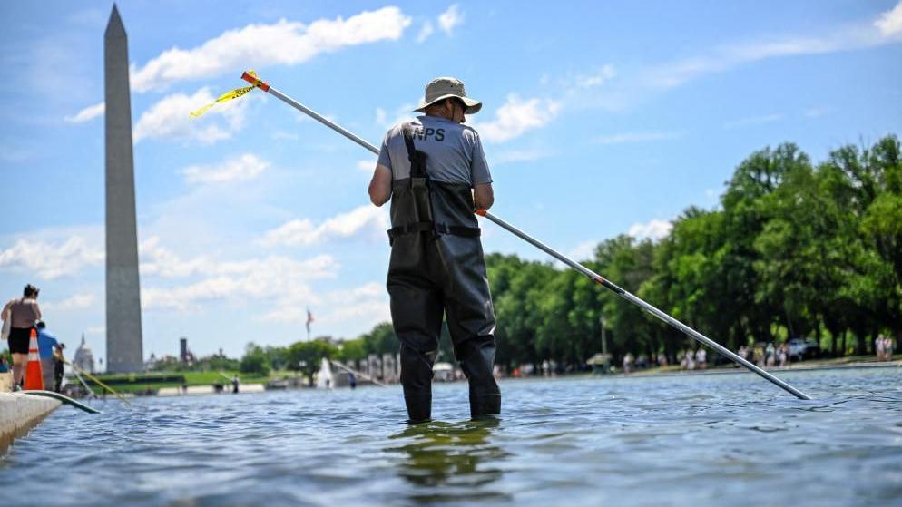 Trump Announces Immediate Repairs for Algae‑Infested Reflecting Pool After Vandalism