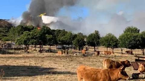 Spain Struggles with Devastating Wildfire Aftermath