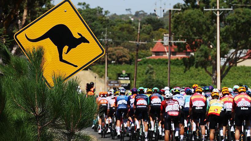 Jay Vine Triumphant at Tour Down Under Despite Kangaroo Incident