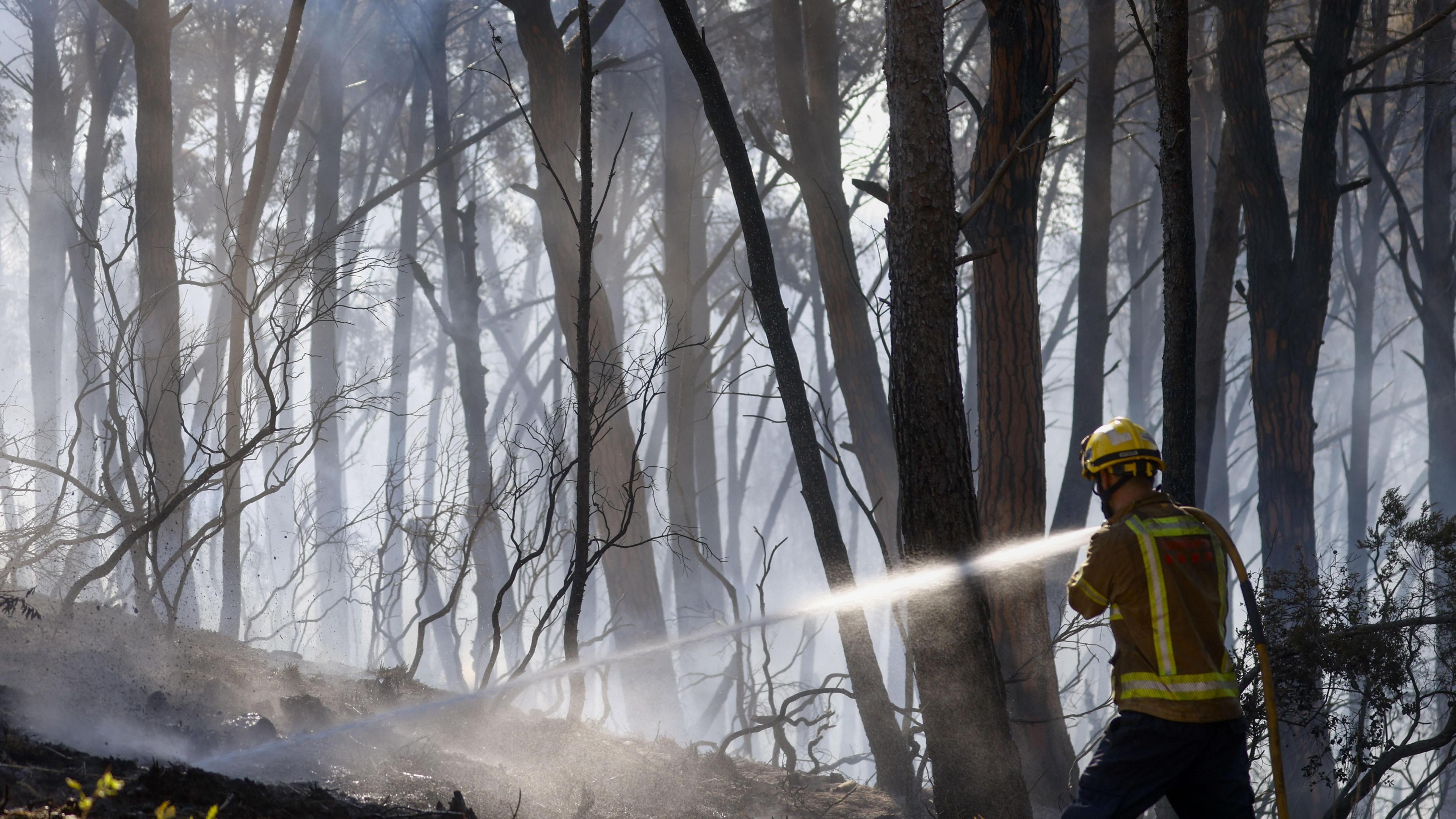 12 Dead in Blazing Spanish Wildfire as Heatwave Persists Across Southern Europe