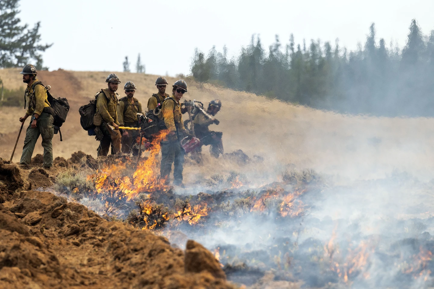 Oregon Firefighter Detained by Border Patrol While Battling Wildfire