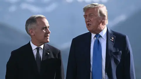 Canadian PM Mark Carney Meets Trump to Navigate Trade Challenges