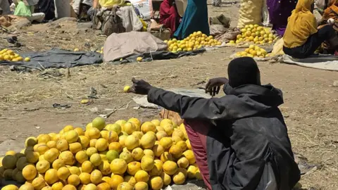 Fruits of Conflict: The Agricultural Wasteland of Jebel Marra Amid War and Famine