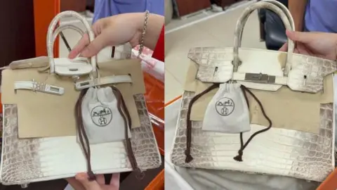 Jailed Vietnamese Businesswoman's Hermès Birkin Bags Fetch $535,000 at Government Auction
