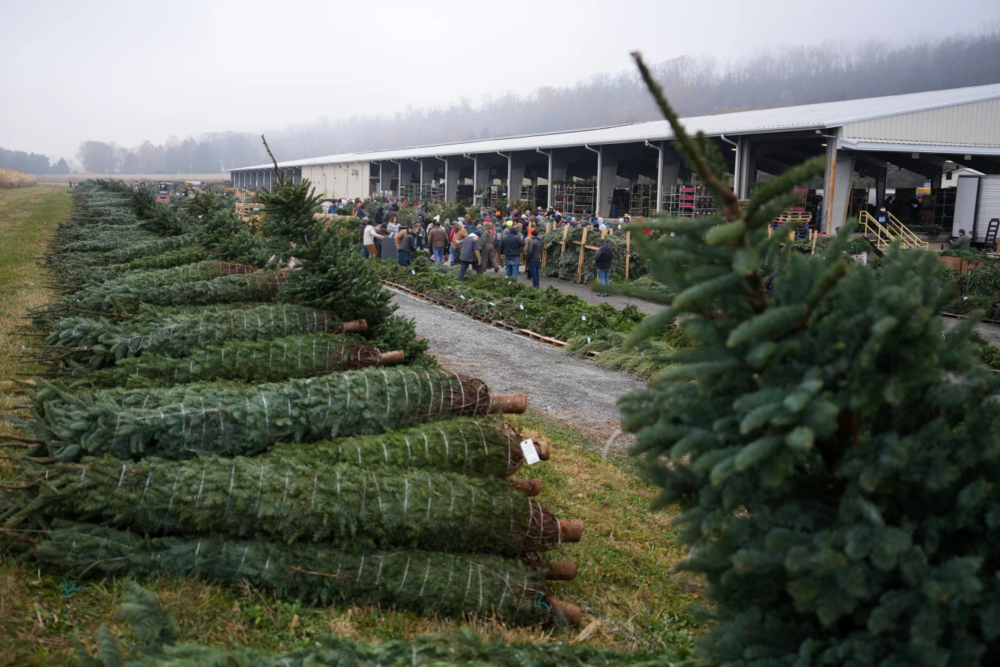 Pennsylvania Auction Brings Christmas Spirit to Life