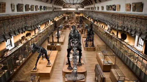 Woman Arrested for Stealing €1.5 Million in Gold from Paris Museum