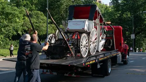 18‑Year‑Old Tourist Killed in Horse‑Drawn Carriage Crash in Central Park