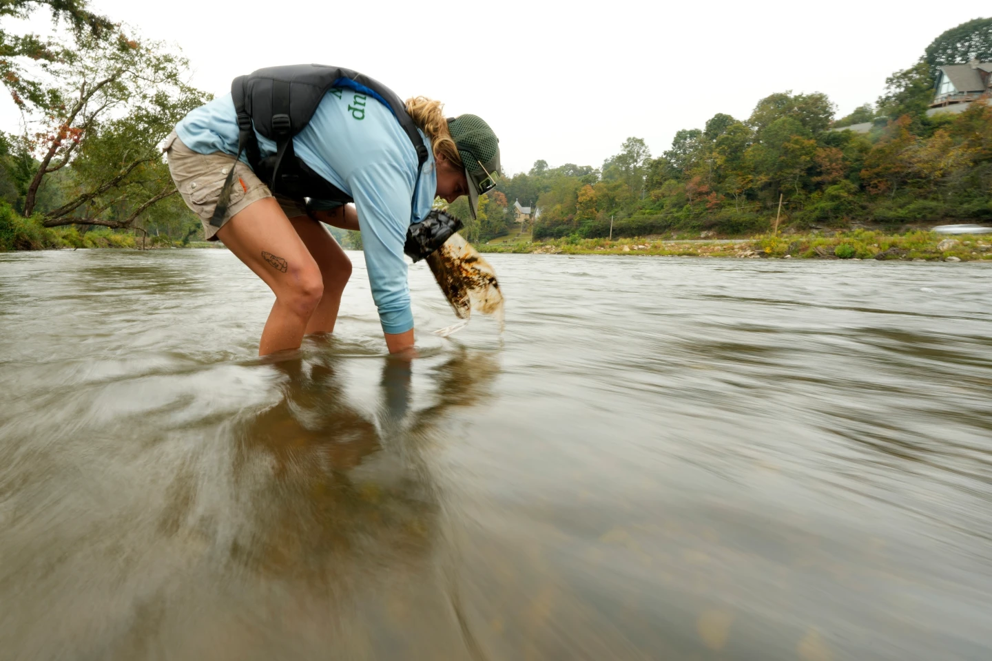 Aftermath of Hurricane Helene: Mobilizing to Restore North Carolina's Rivers