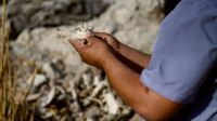 Months after the fall of Bashar al-Assad, families of the missing in Syria are digging through mass graves and sharing their stories, desperately seeking answers and justice in a nation still haunted by its past.