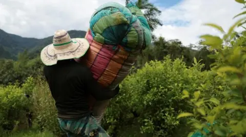 US Designates Colombia as a Non-Compliant Nation in Drug Trafficking Efforts